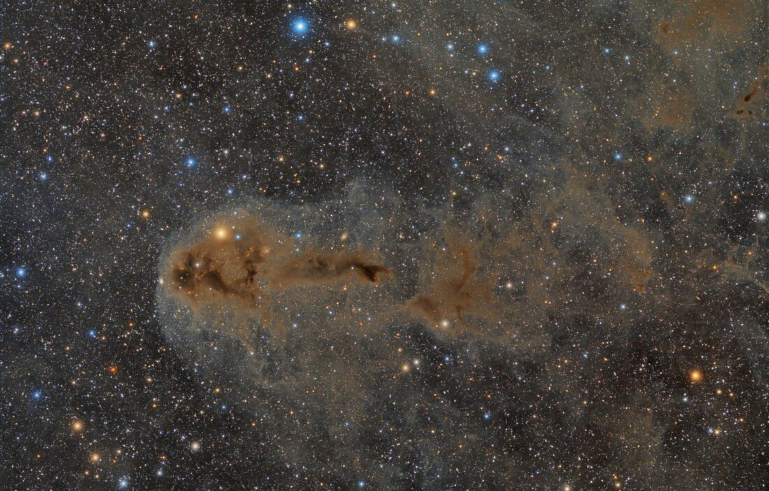 LDN1251 dark nebula in Cepheus