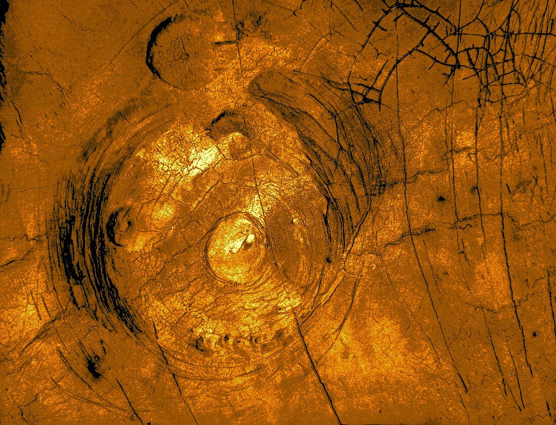 Corona and pancake domes on Venus, radar image