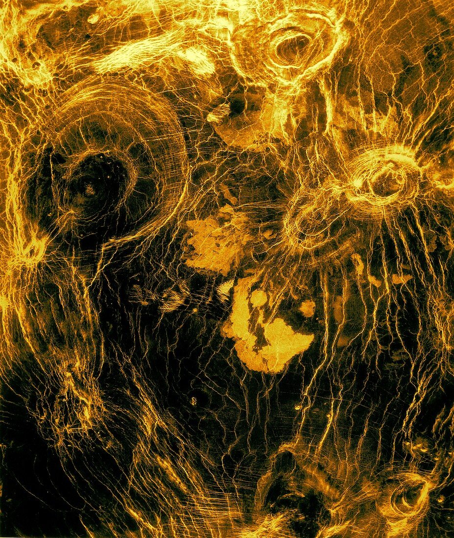 Arachnoids, Venus , radar image