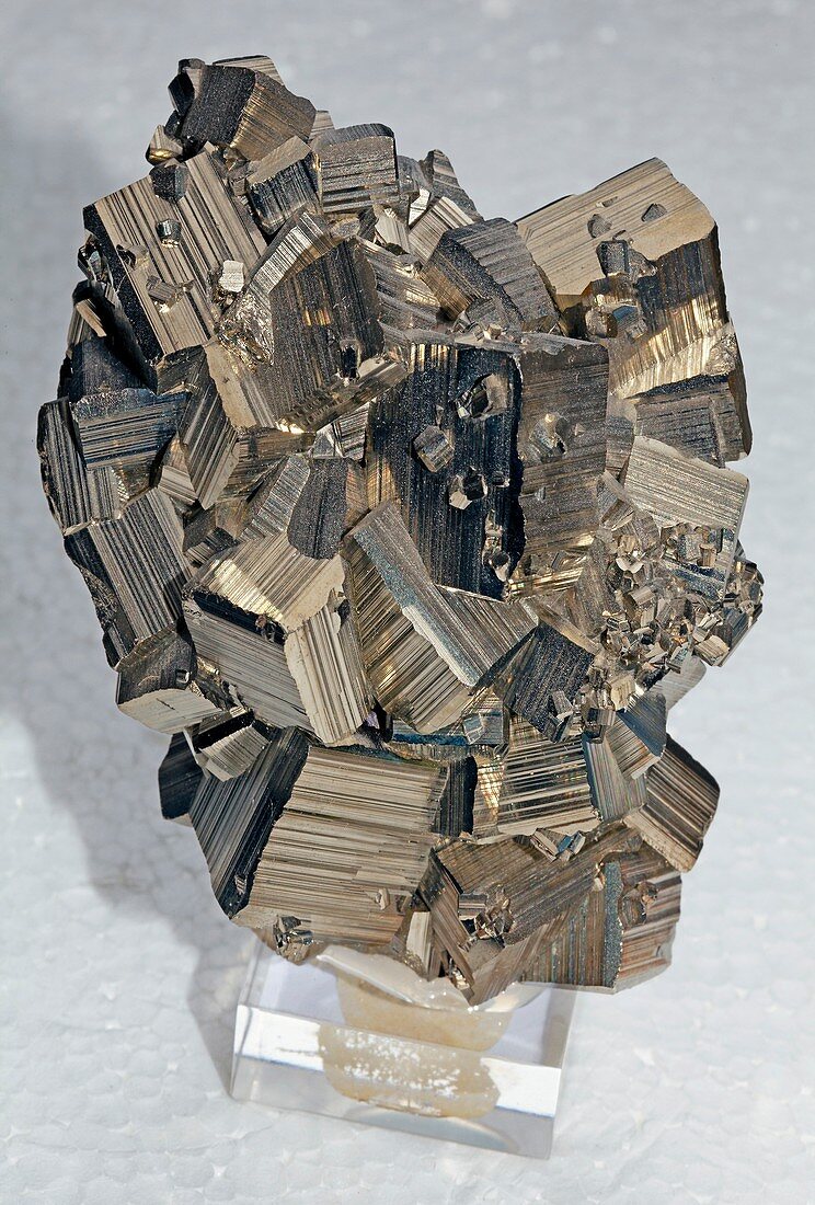 Cluster of pyrite cubes