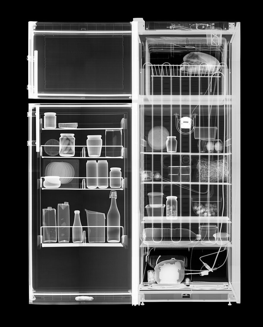 Fridge freezer and its contents, X-ray