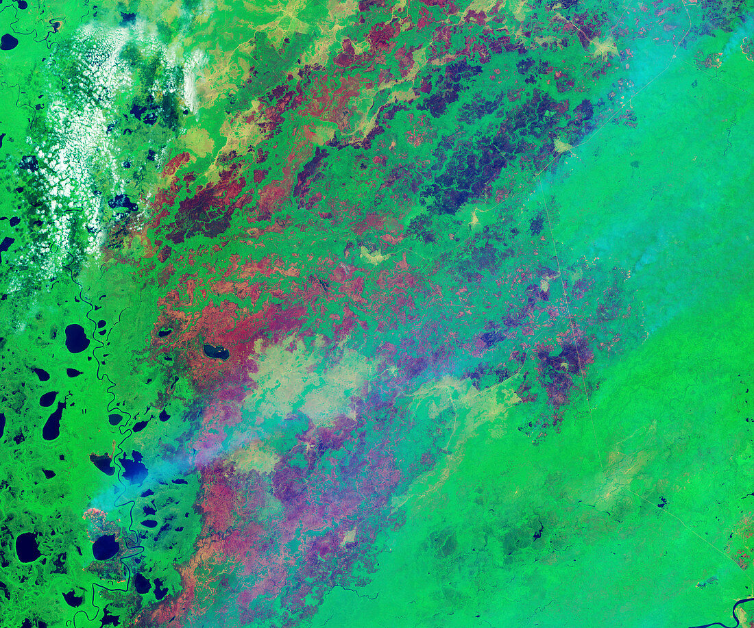 Pantanal fires, Brazil, infrared satellite image