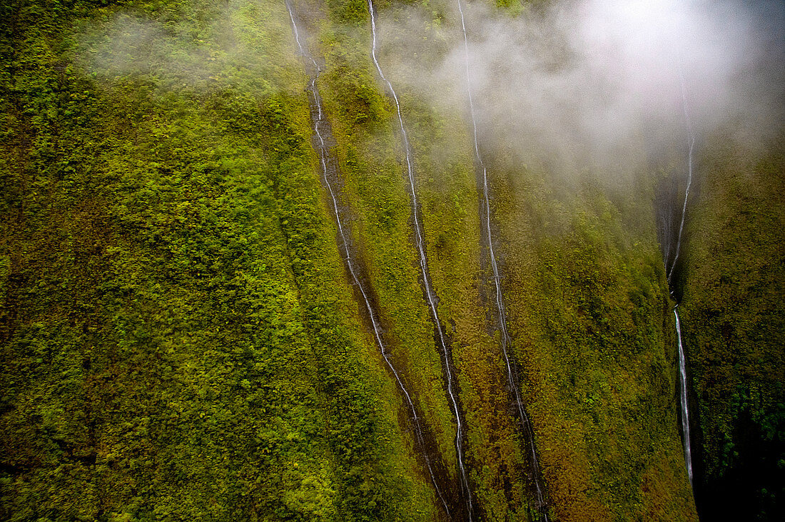 Waterfalls, Mount Waialeale, Kauai, Hawaii, USA