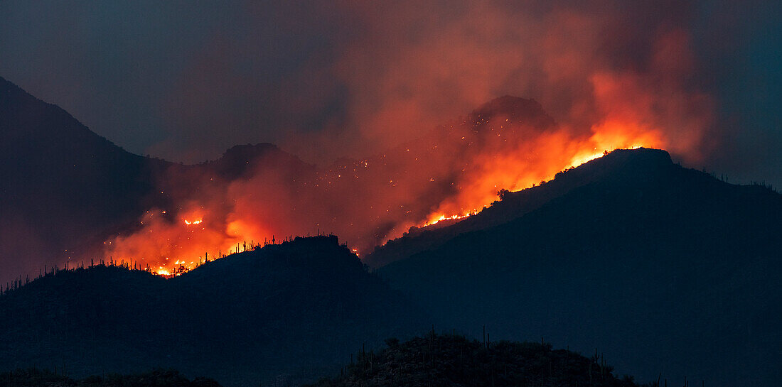 Bighorn Fire, Catalina Foothills, AZ