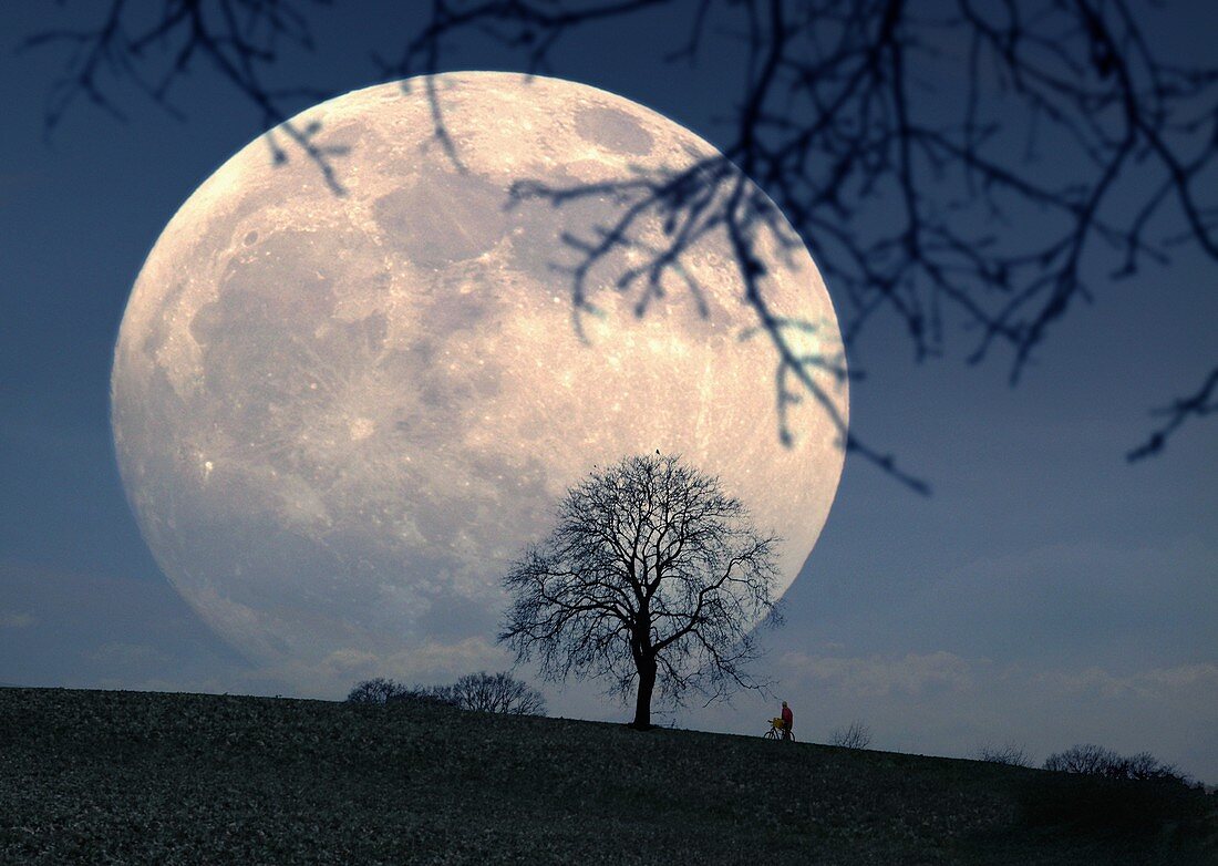 Full Moon rising at twilight