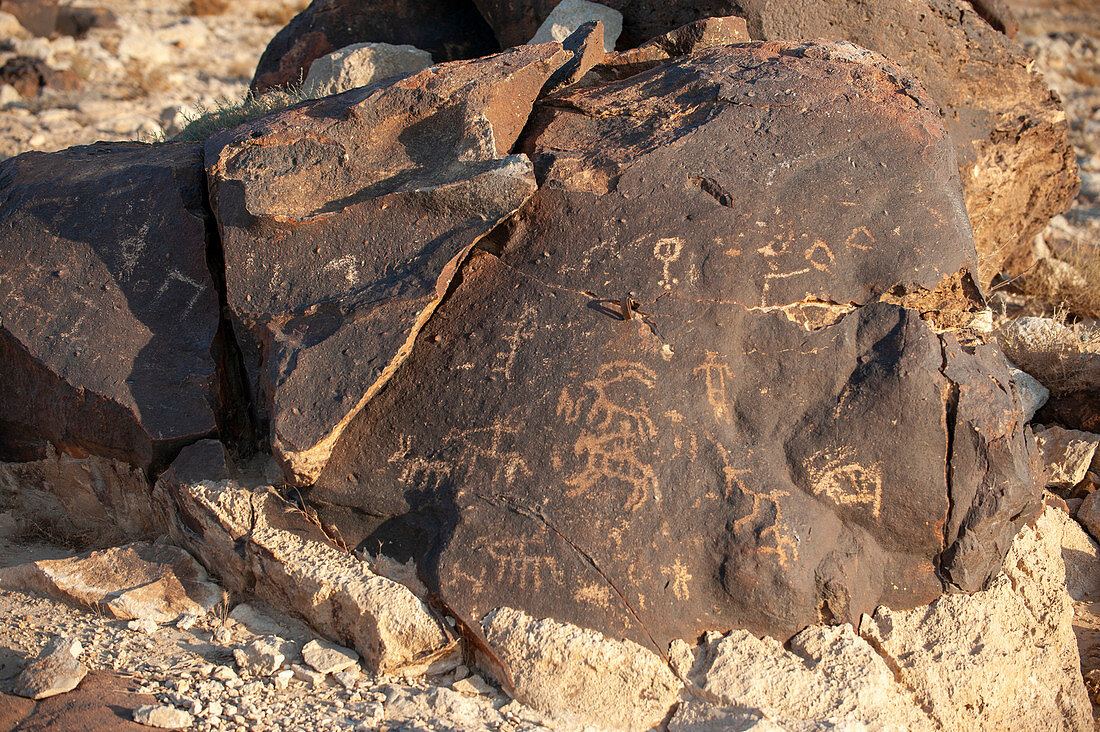 Petroglyphs, Negev Desert, Israel