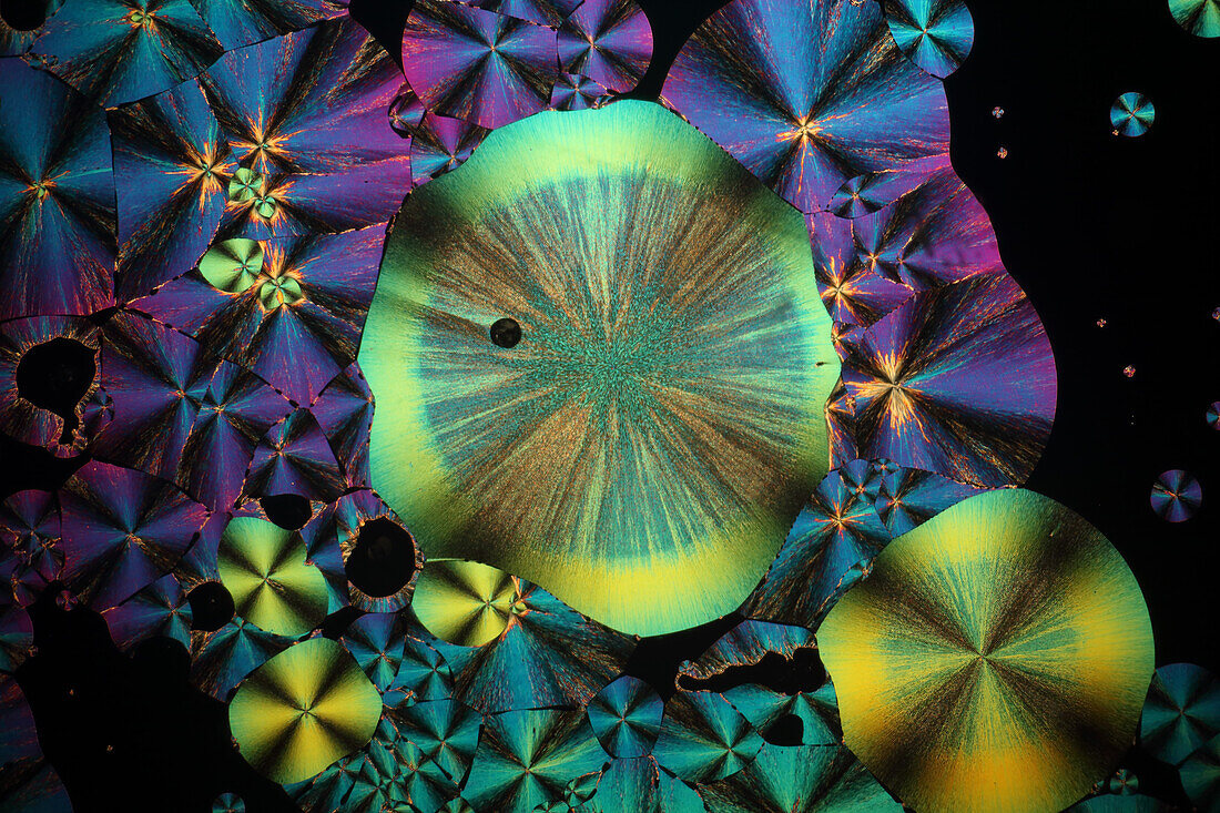 Vitamin-B3 (Nicotinamide), Polarized Light Microscopy