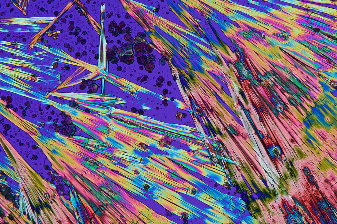 Amlodipine Crystals, LM