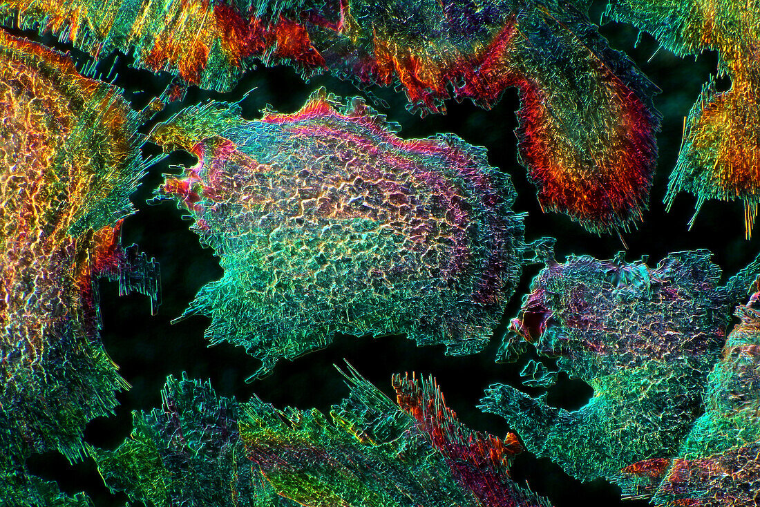 Vitamin B3, Polarized and Dark Field Micrograph