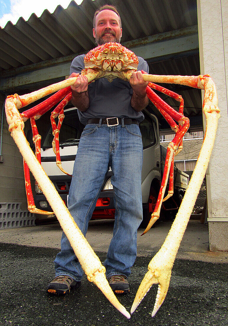 Japanese Spider Crab (Macrocheira kaempferi)
