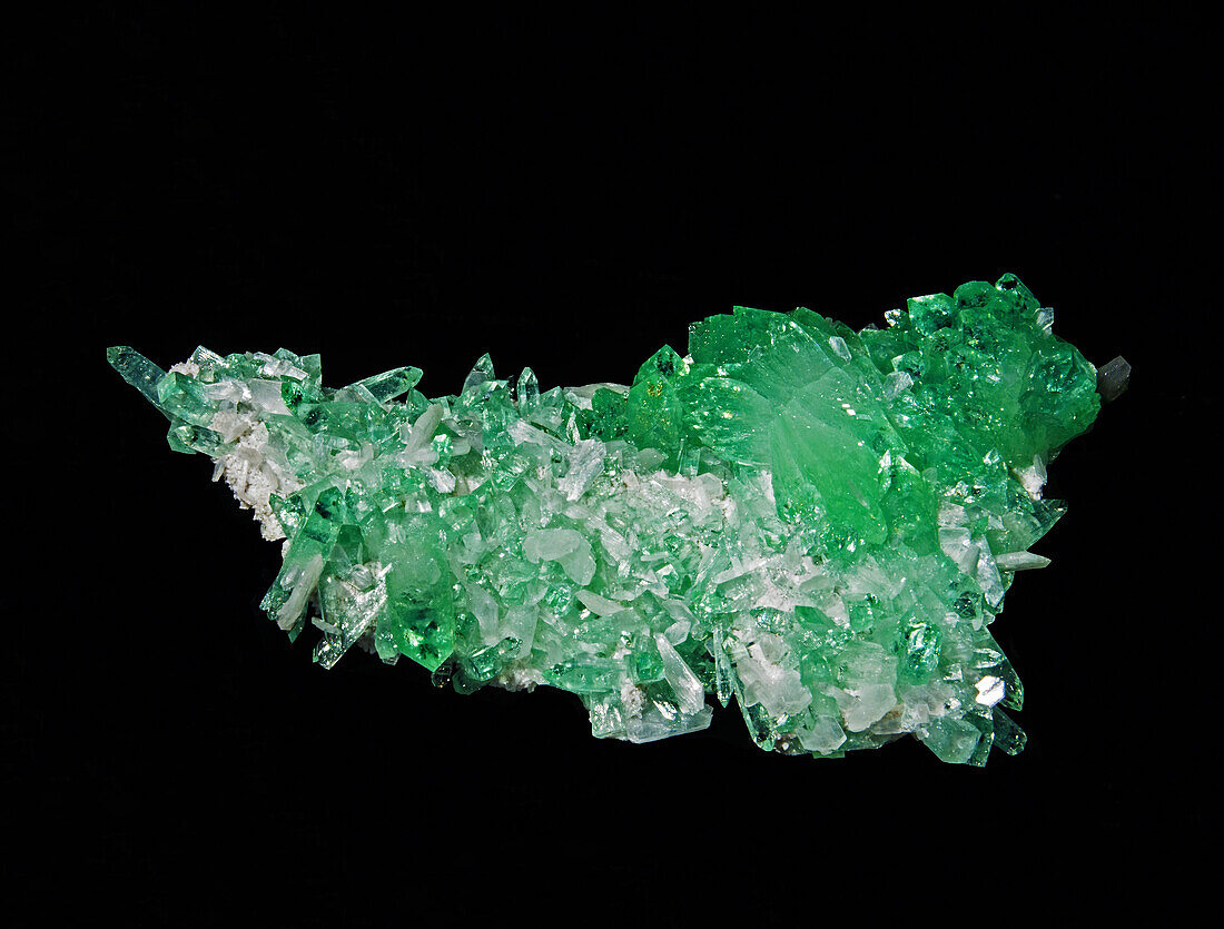 Fluorapophyllite and Stilbite