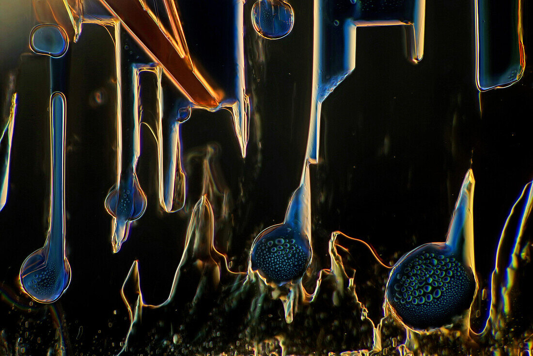 Tartaric Acid, Polarized and Dark Field Micrograph