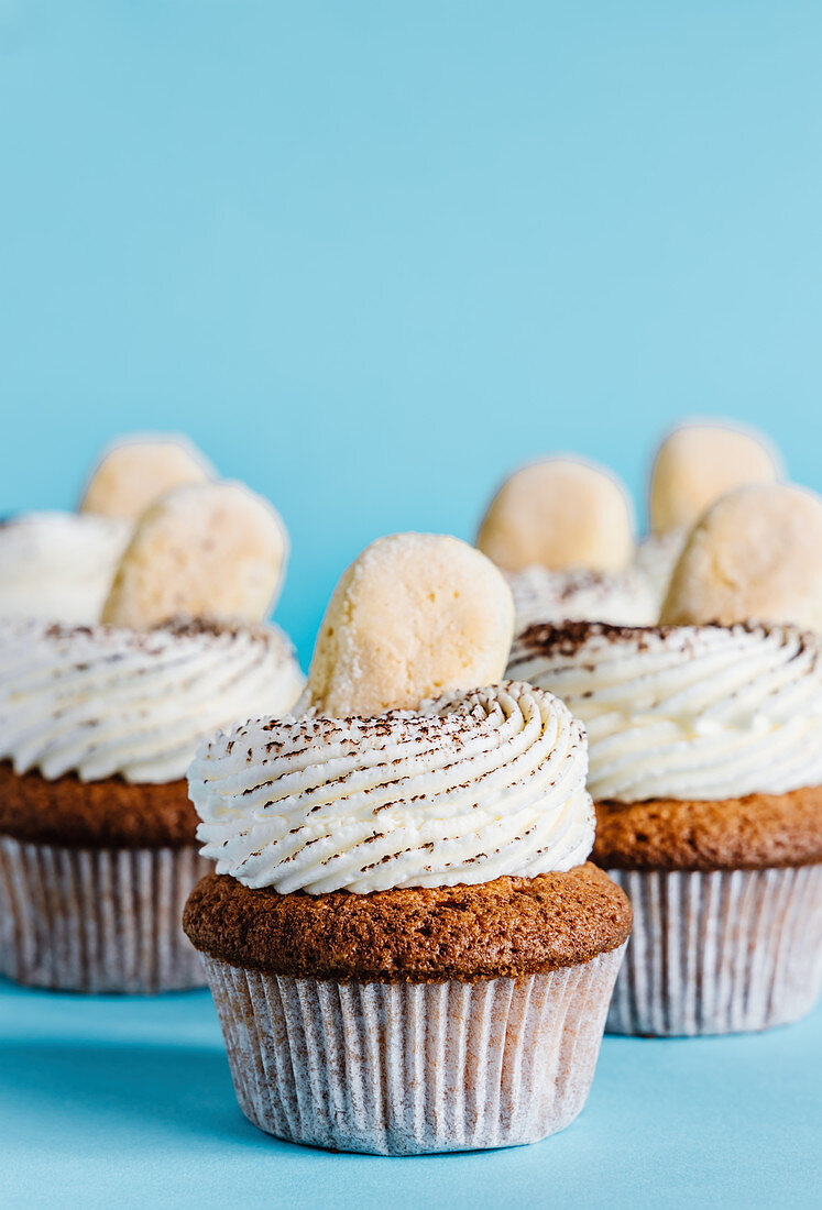 Tiramisu cupcakes decorated with ladyfingers