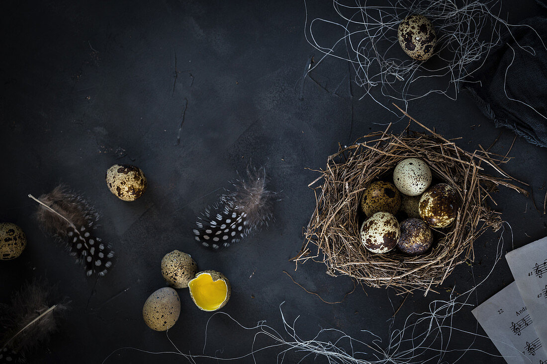 A nest with quails' eggs