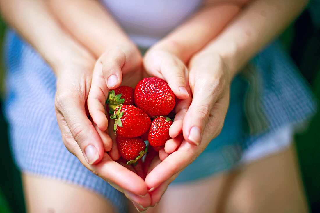 Hände von Mutter und Kind halten Erdbeeren