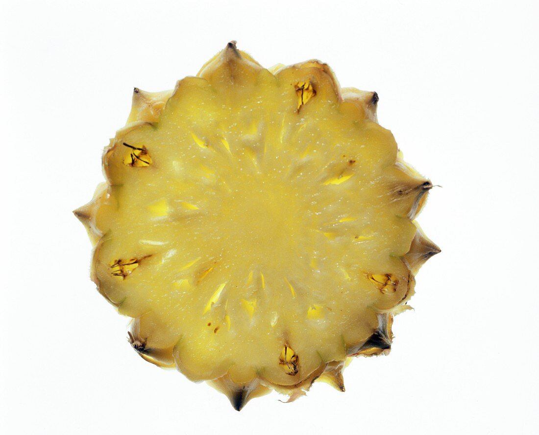 A Slice of Pineapple