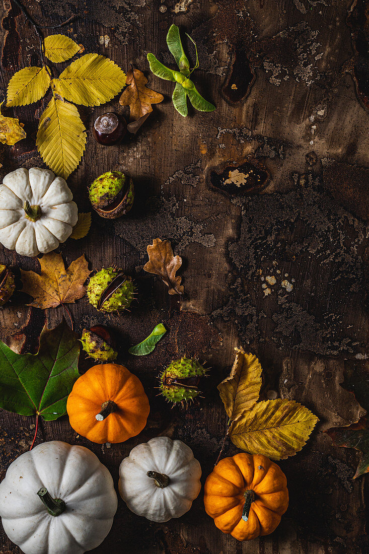 Herbststillleben mit Kürbissen, Kastanien und Laubblättern