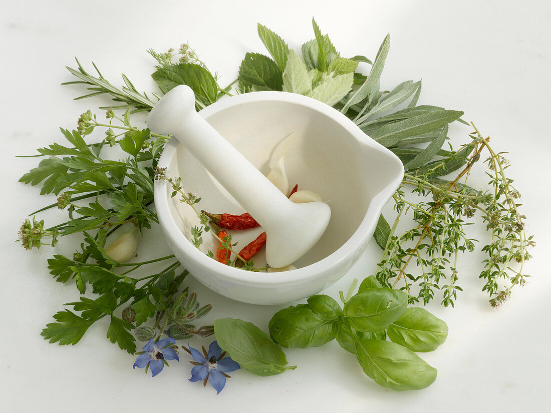 A mortar with fresh herbs and spices