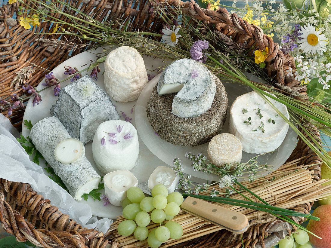 Assortment of Goat Cheeses; Bucheron, Petit Chevre and Aged Goat Cheese from Spain