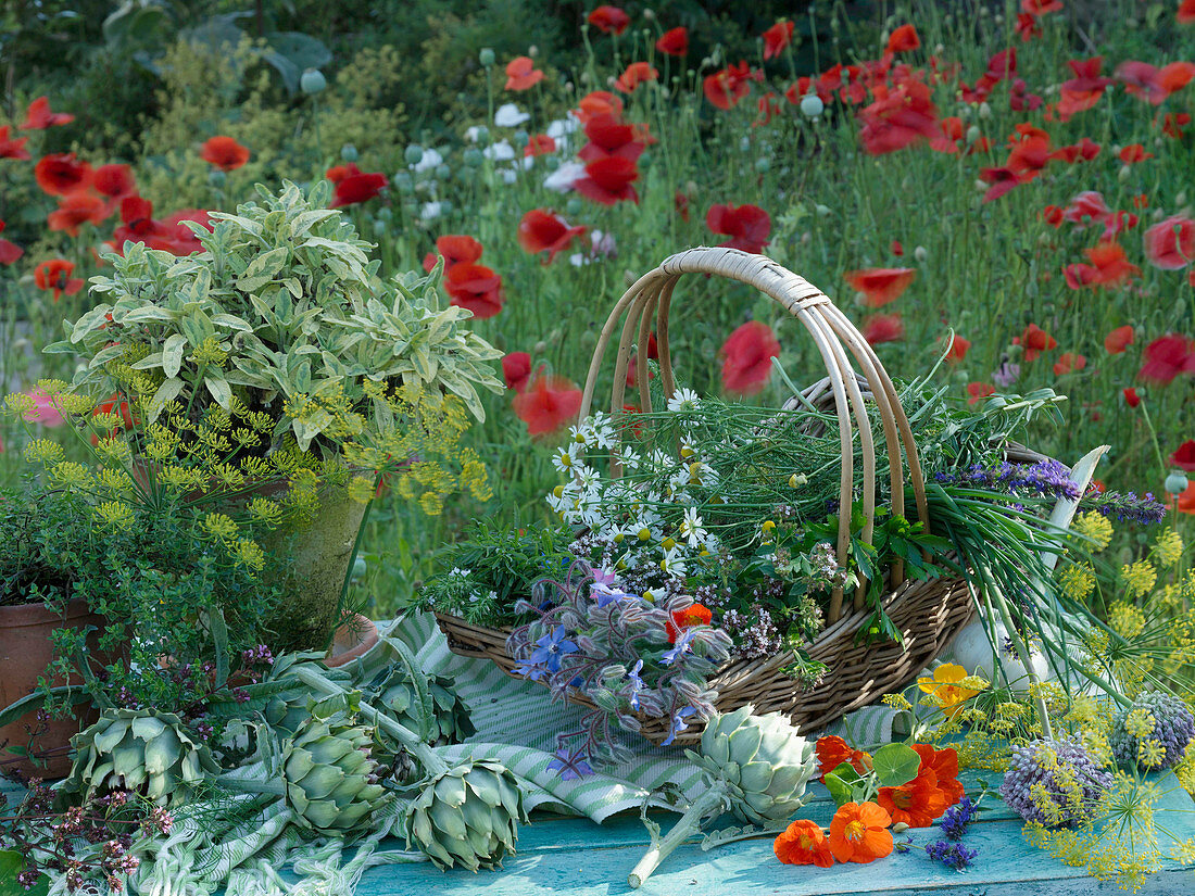 A summer arrangement of artichokes and fresh herbs