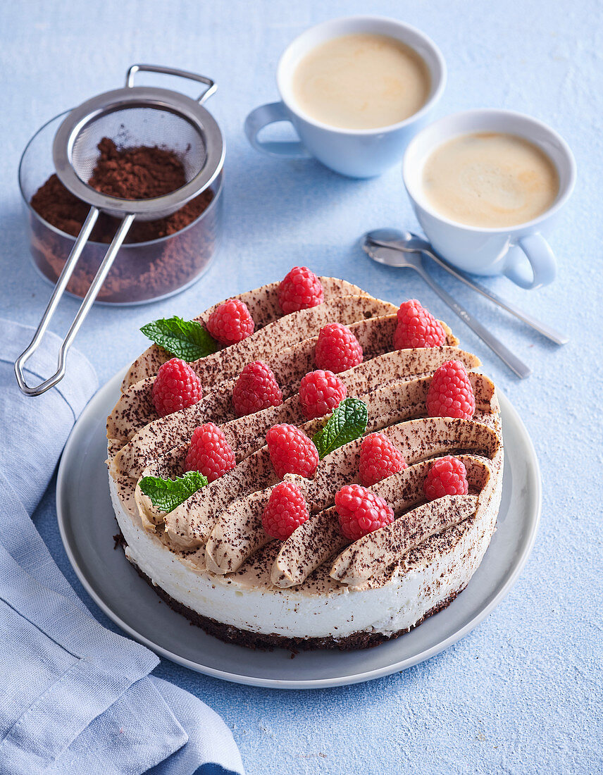 Tiramisu cake with raspberries