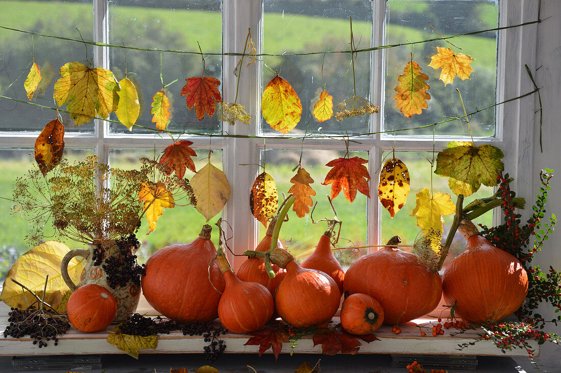 An autumnal arrangement on a windowsill