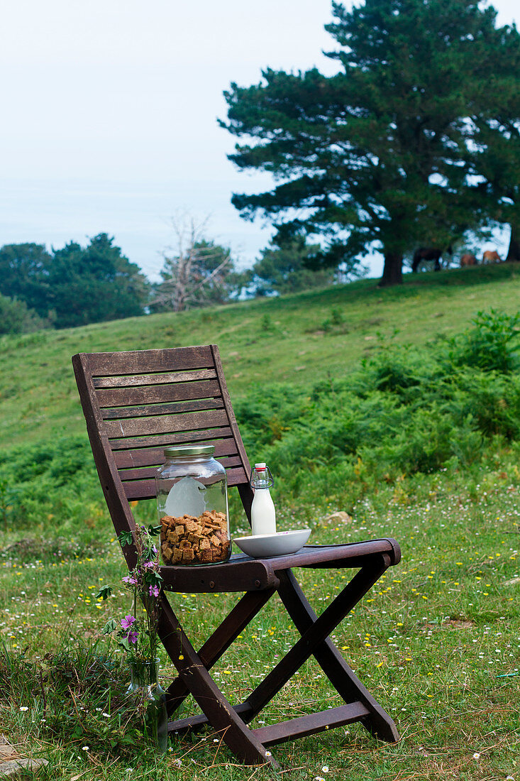 Cinnamon cereal and milk on wooden chair