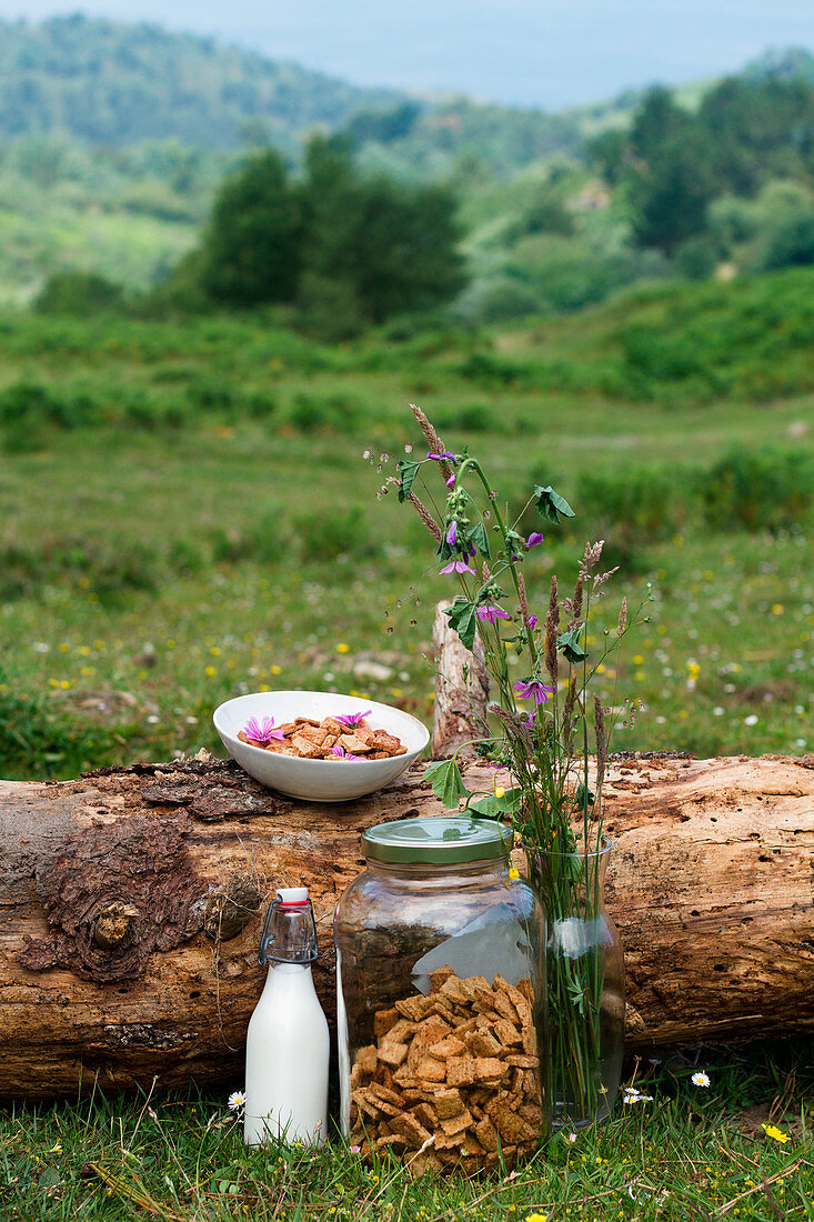 Bowl with yummy cinnamon cereal and glass bottle of milk placed on trunk in countryside for breakfast