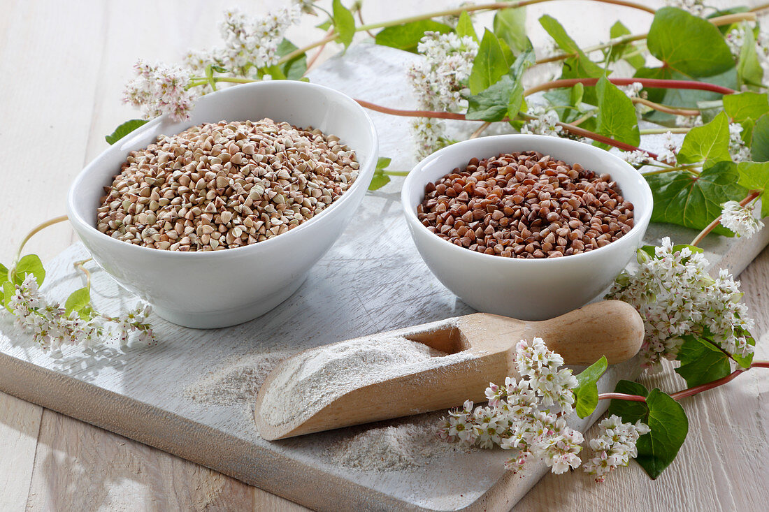 Geröstete und ungeröstete Buchweizengrütze mit Buchweizenblüten