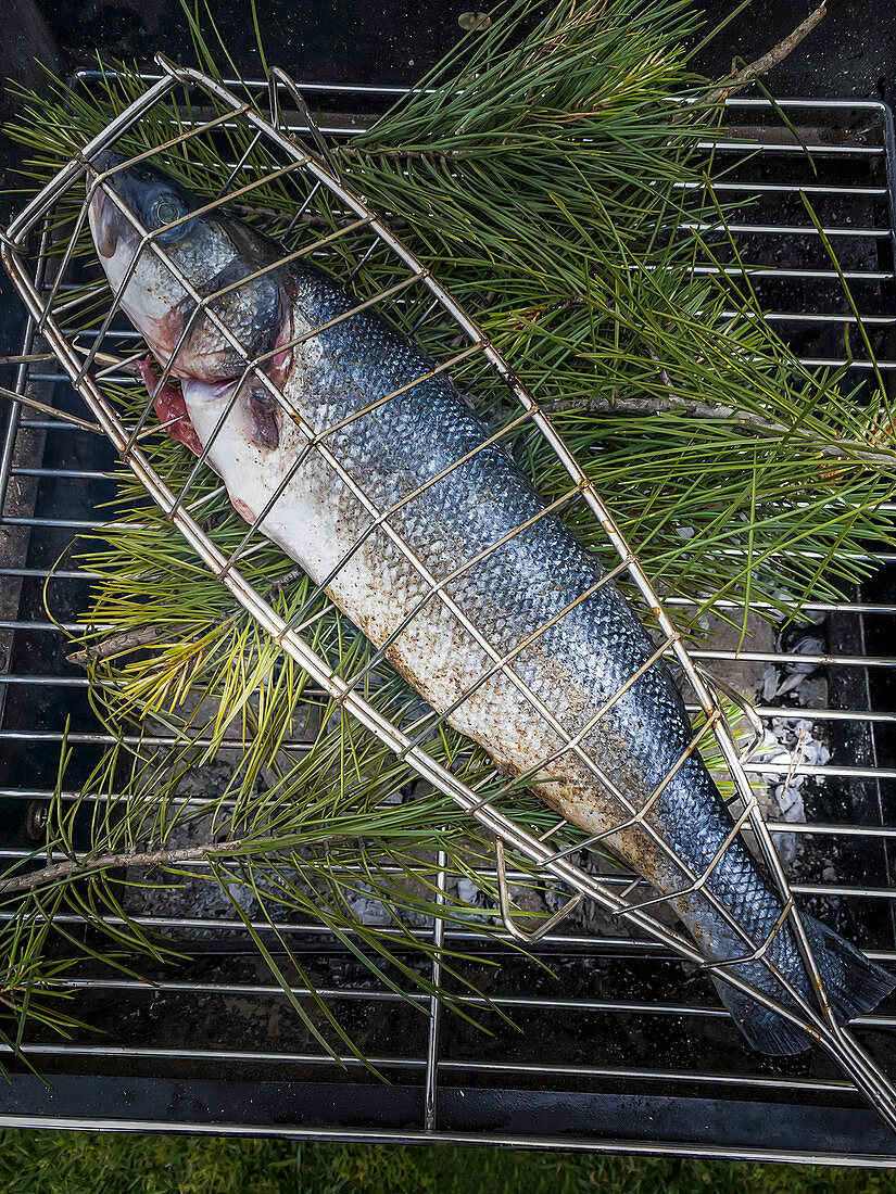Barbecued sea bass on pine needles