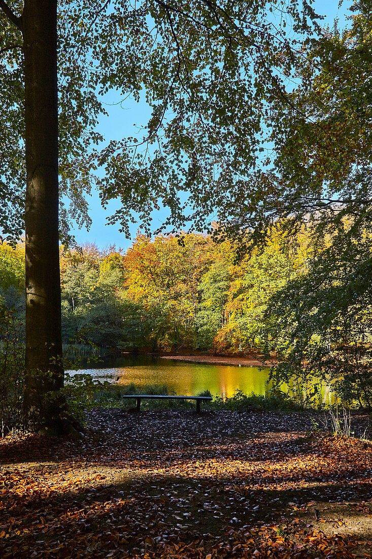 Herbstlandschaft mit See