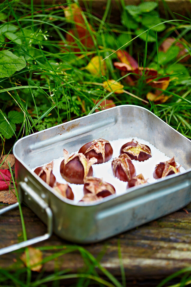 Roasted chestnuts in an aluminum tray