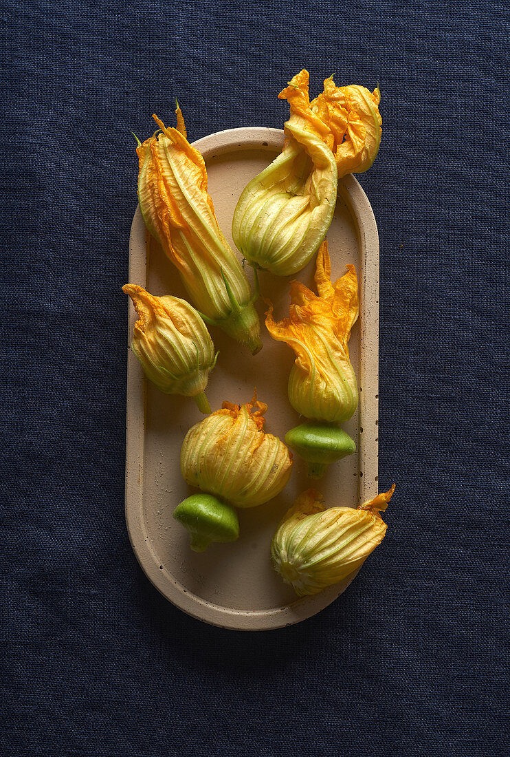 Fresh raw zucchini flowers on dark blue linen tablecloth