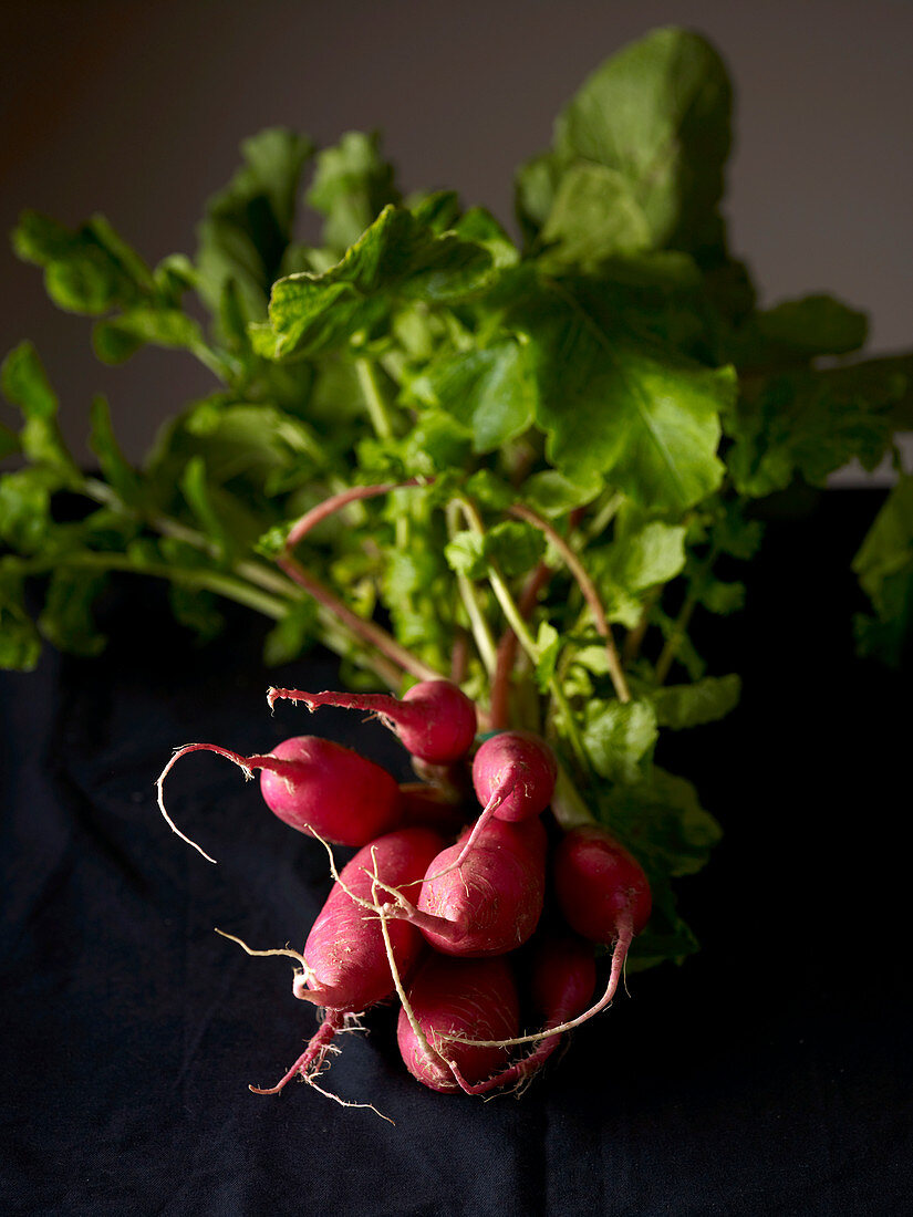 A bunch of radishes with greens