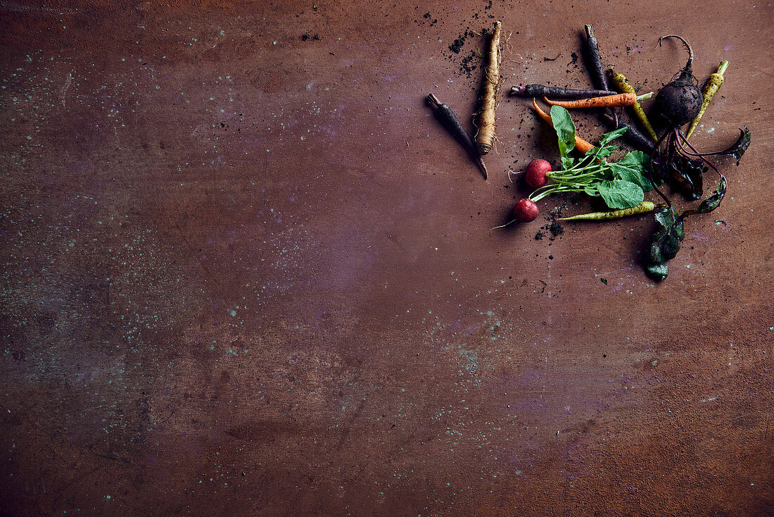 Colourful carrots, beetroot and radishes