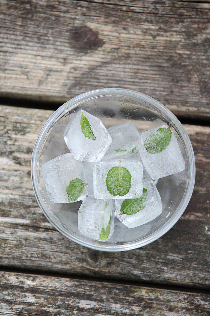 Eiswürfel mit Minzblättern in Glasschälchen