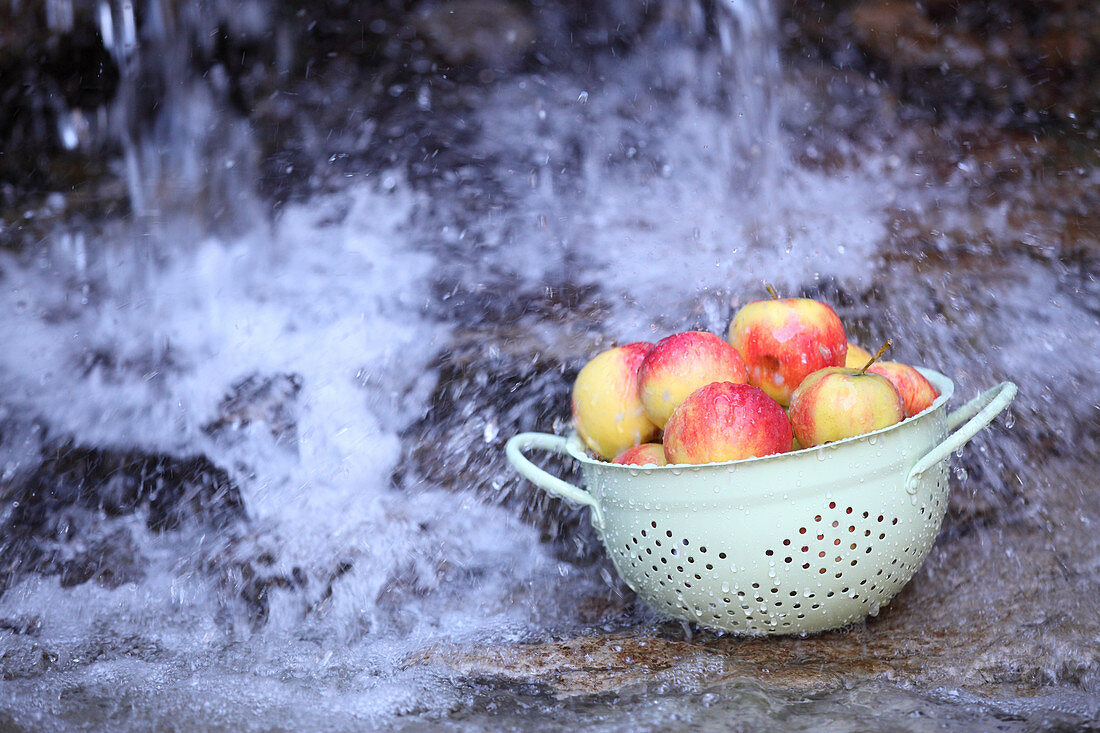 Apples in an enamel sieve under a natural water source