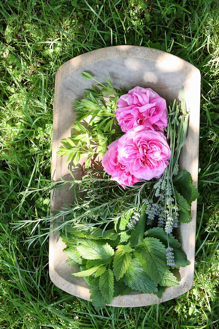 Frische Gartenkräuter und Blüten in Holzschale auf der Wiese