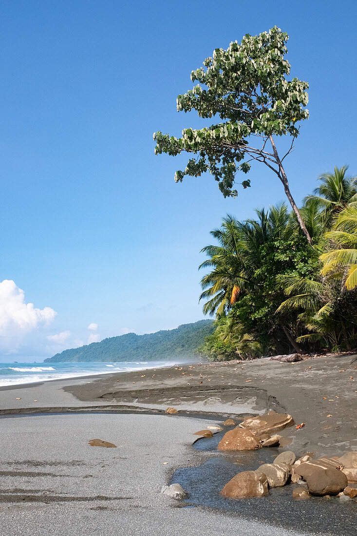 Corcovado National Park, Osa Peninsula, Costa Rica, Central America