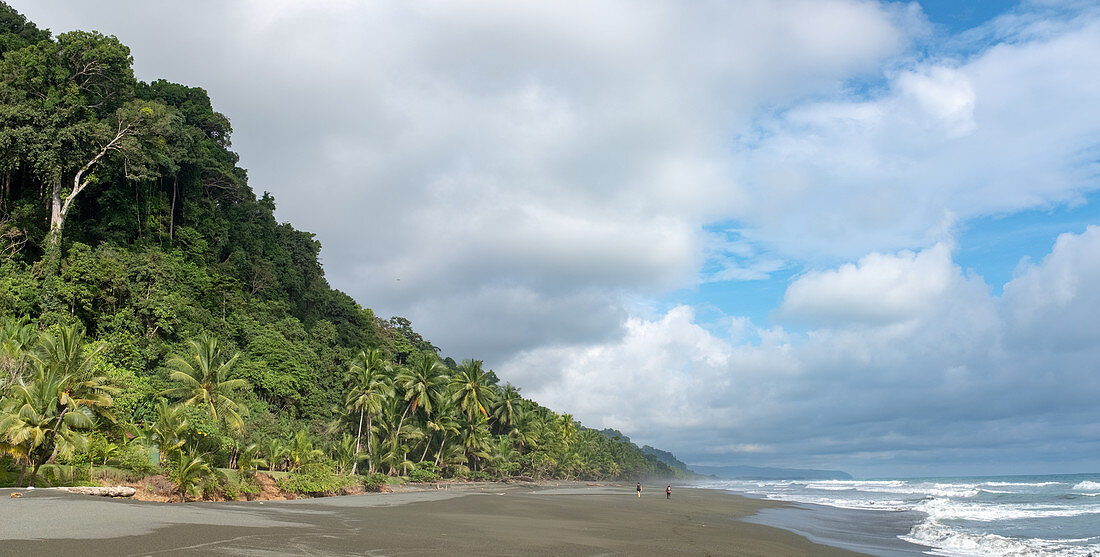 Corcovado National Park, Osa Peninsula, Costa Rica, Central America