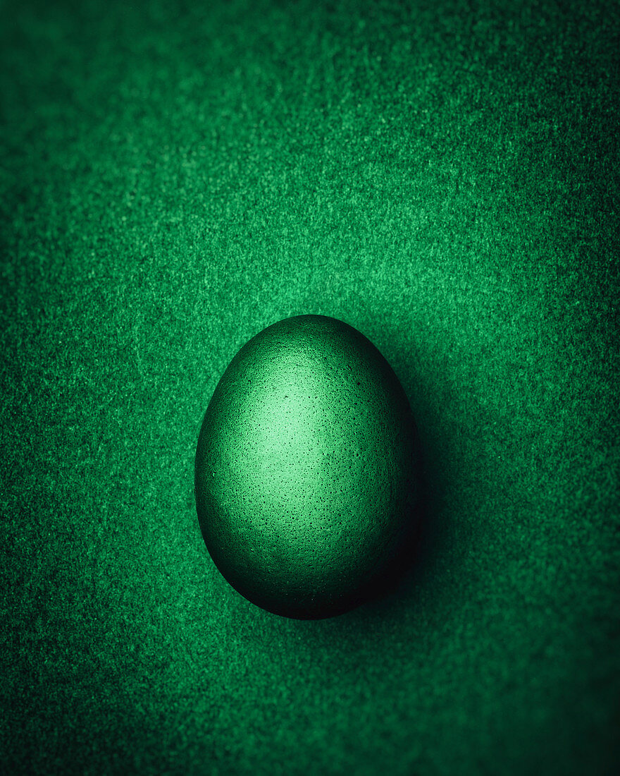 Dark green Easter egg on a dark green background