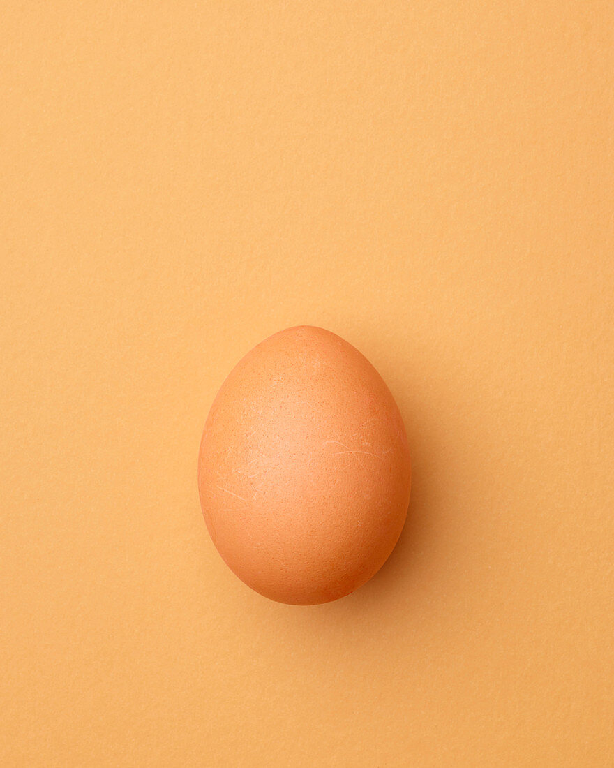 Brown chicken egg on a light orange background