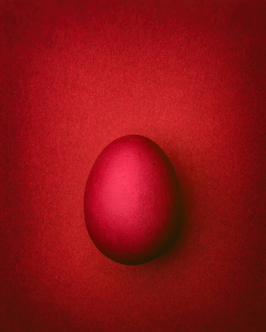 Dark red Easter egg on a dark red background