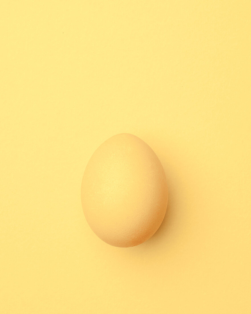 Pale yellow Easter egg on a pale yellow … – License Images – 13366017 ❘  StockFood