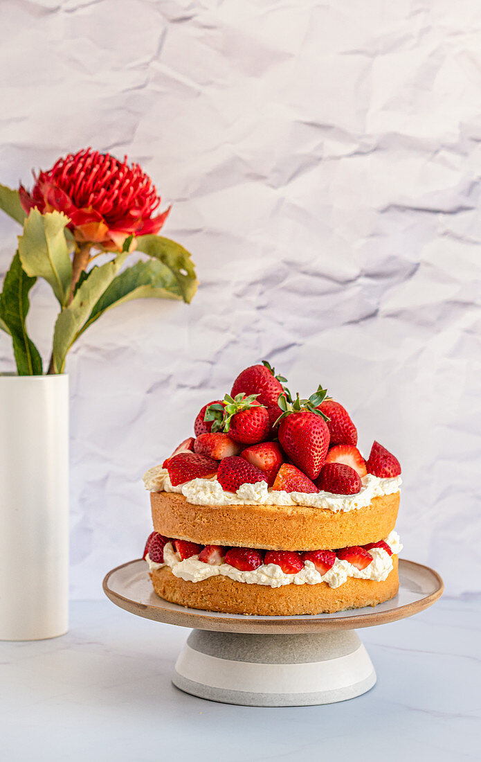 Strawberry and Whipped Cream Cake with Textured Background