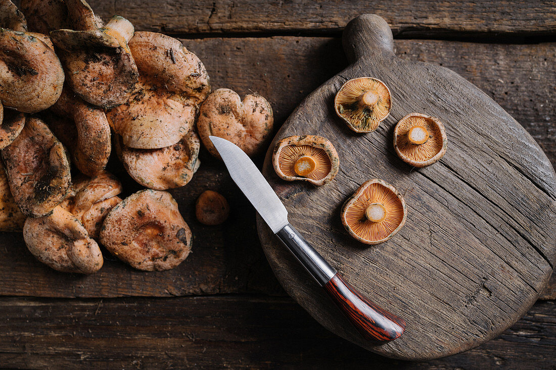 Raw wild saffron milk cap or red pine mushrooms on cutting board