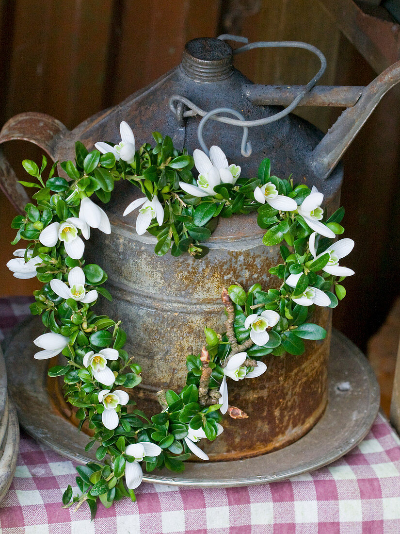 Heart-shaped wreath of box and snowdrops
