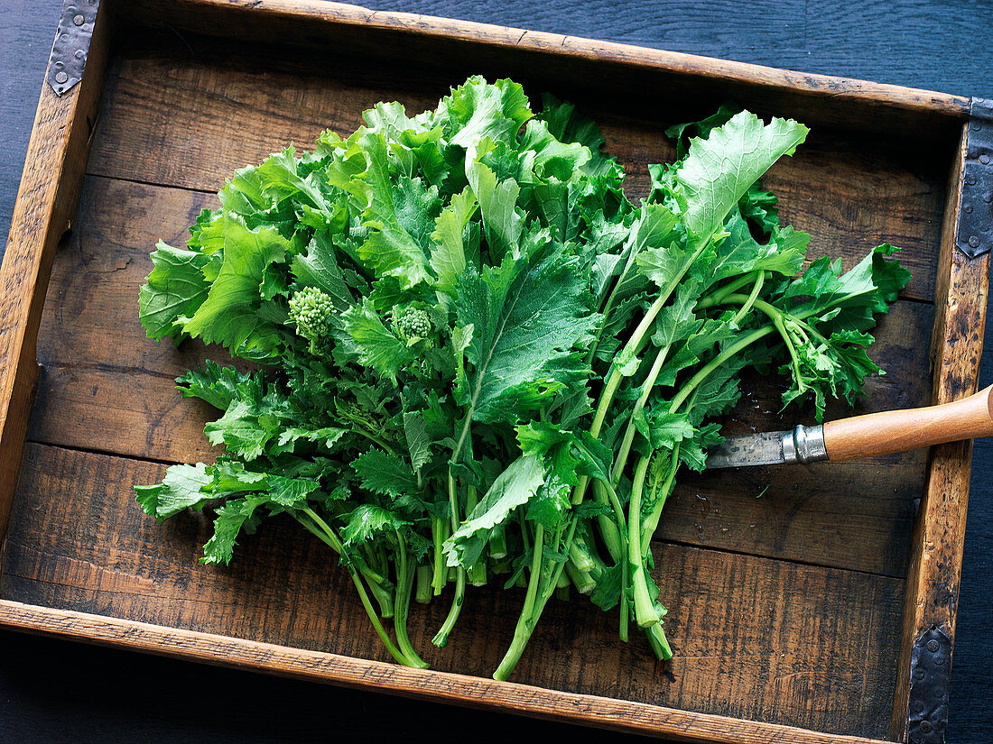 Frischer Brokkoli Rapini in Holzkiste