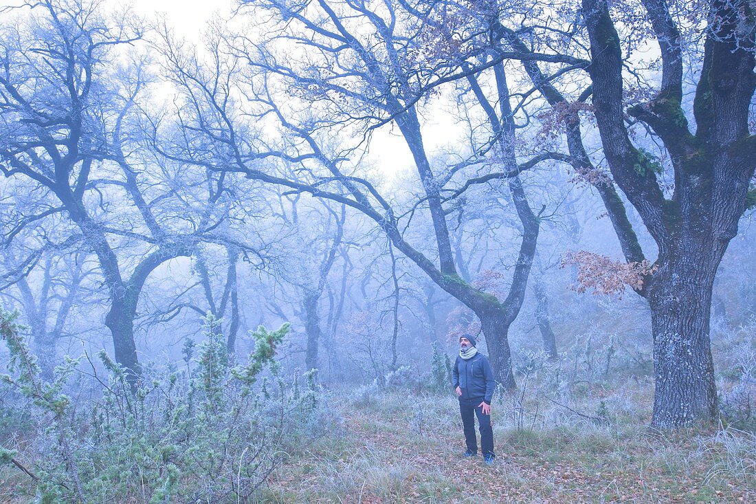 Man in oak forest