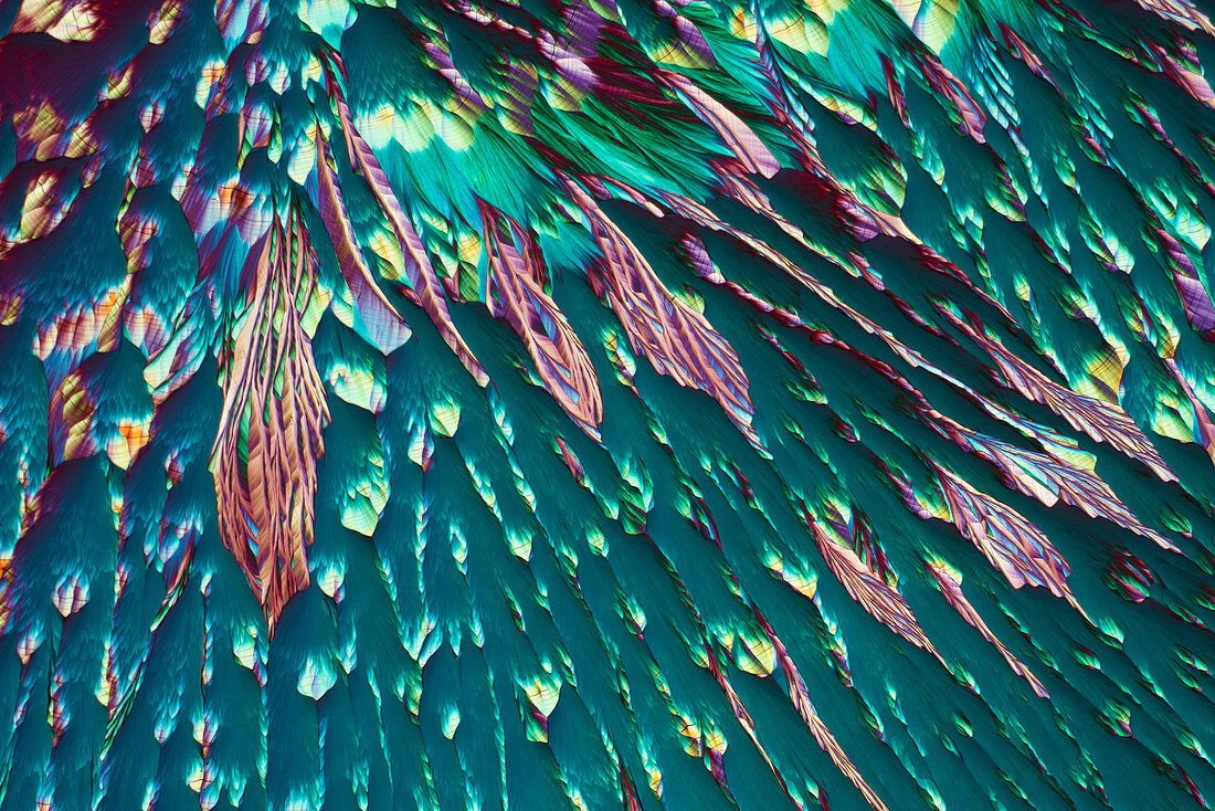 Amino acids and metals, polarised light micrograph